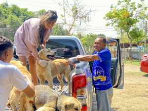 &ldquo;โครงการสัตว์ปลอดโรค คนปลอดภัย จากโรคพิษสุนัขบ้า ประจำปีงบประมาณ พ.ศ. 2568"