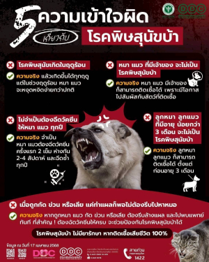 ประชาสัมพันธ์ ประชาสัมพันธ์ 5 ความเข้าใจผิด เกี่ยวกับโรคผิดสุนัขบ้า